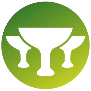 Desarrollamos sistemas en Grails utilizando Groovy y Java Logo Grails