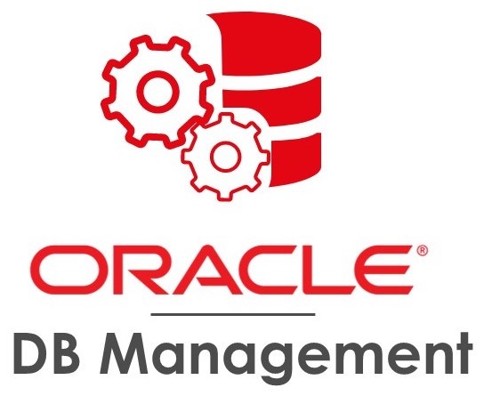 Programamos PL/SQL para Oracle DB Logo Oracle DB